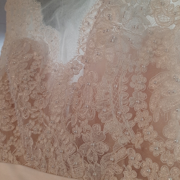 Wedding Dress - Picture 7 of 8